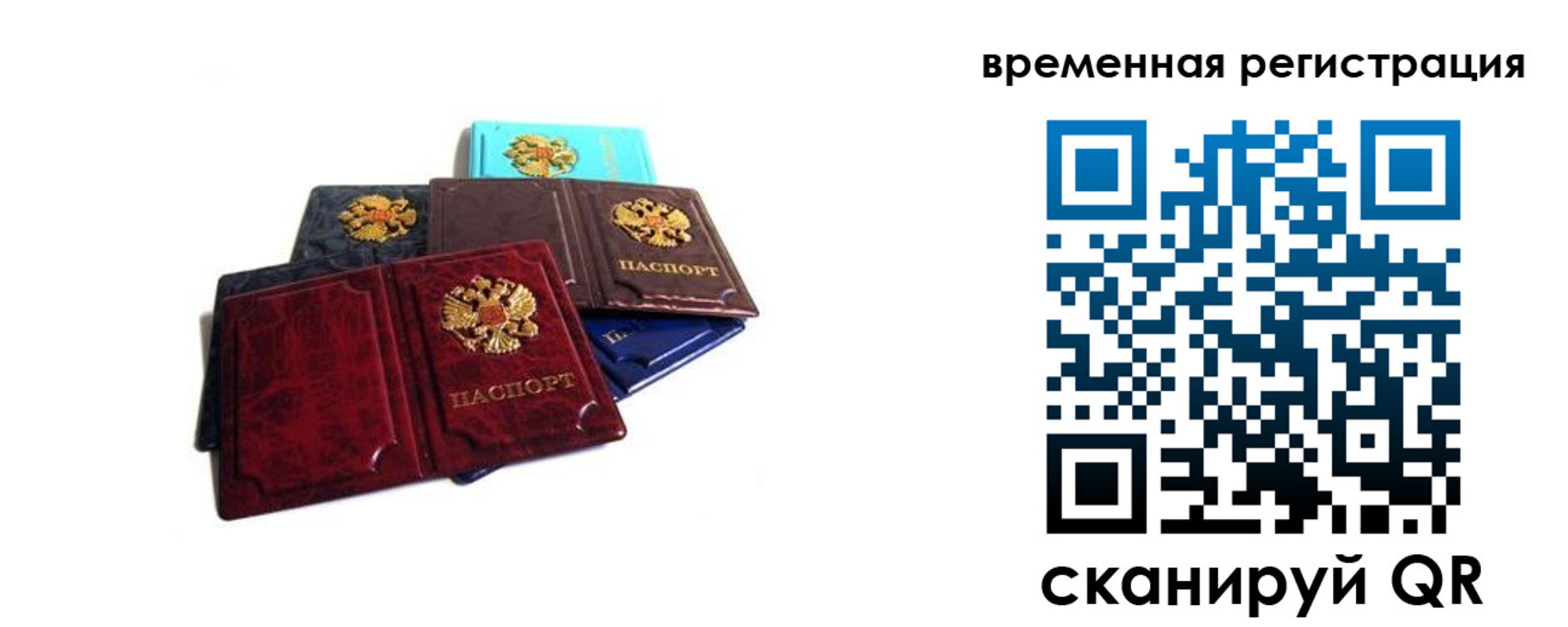 прописка гарантия в Красном Сулине